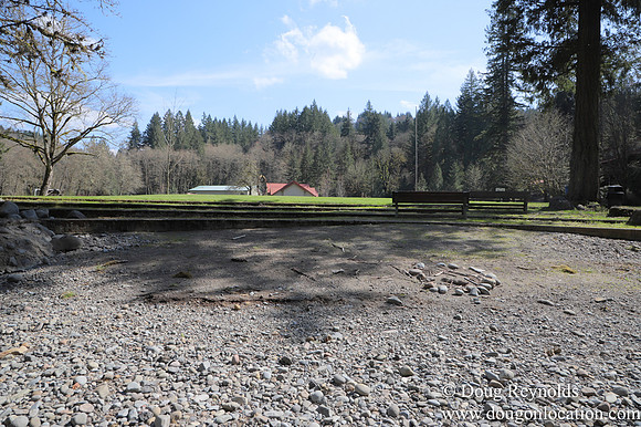 Eagle Fern Camp