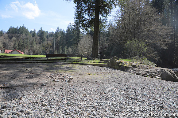 Eagle Fern Camp