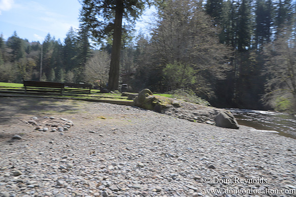 Eagle Fern Camp