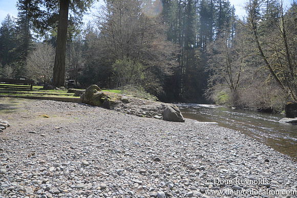 Eagle Fern Camp