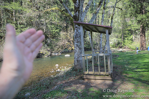 Eagle Fern Camp