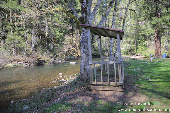 Eagle Fern Camp
