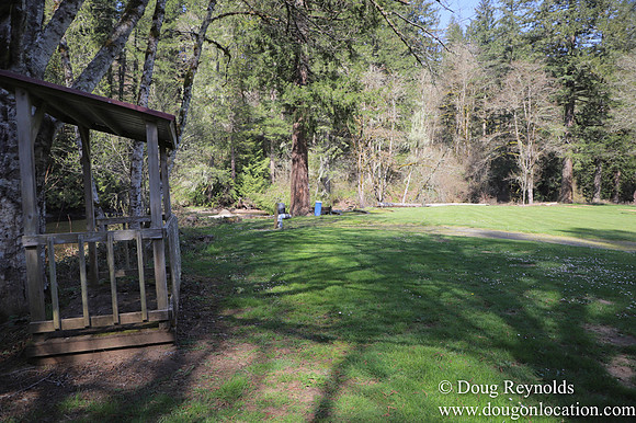 Eagle Fern Camp