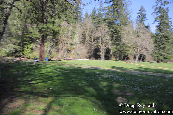 Eagle Fern Camp