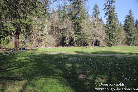 Eagle Fern Camp