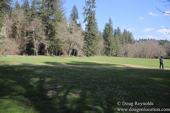 Eagle Fern Camp