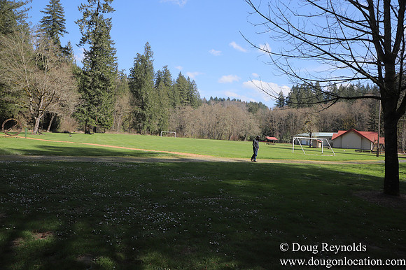 Eagle Fern Camp