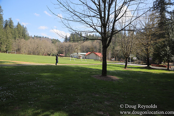 Eagle Fern Camp