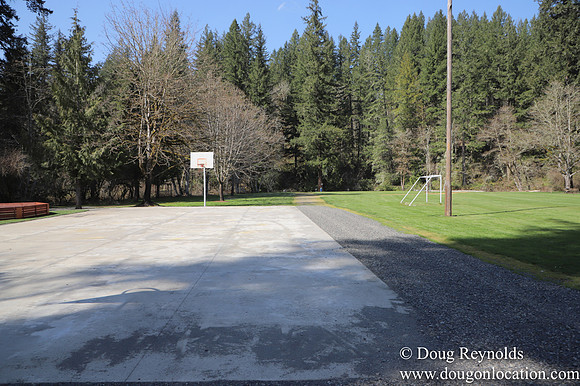 Eagle Fern Camp