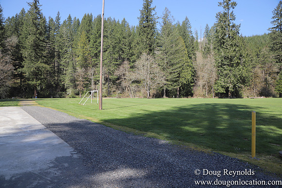 Eagle Fern Camp