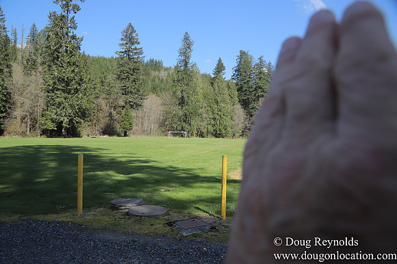 Eagle Fern Camp