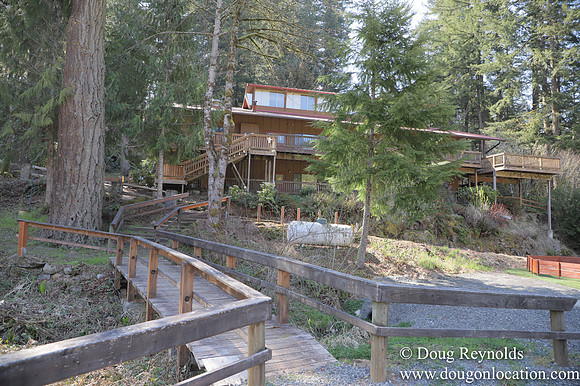 Eagle Fern Camp