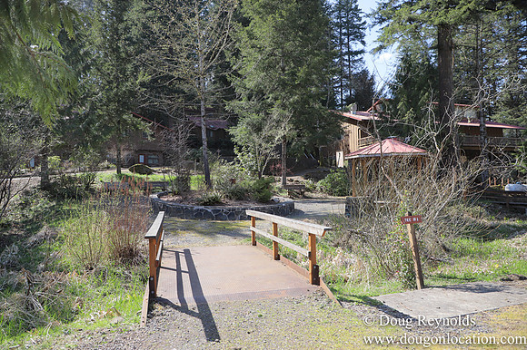 Eagle Fern Camp