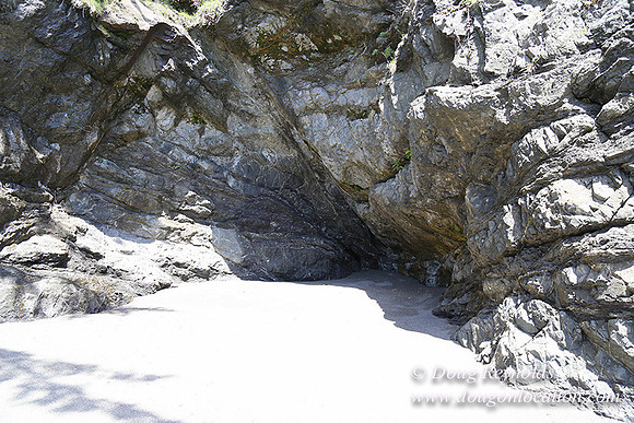 33 Beach SB81-2801