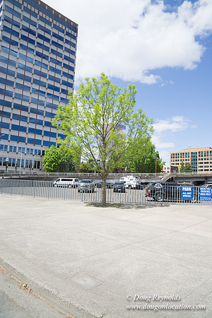 West end Morrison Bridge