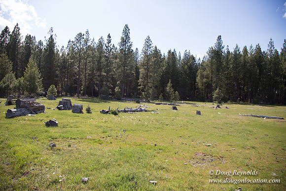 Ranch 18
