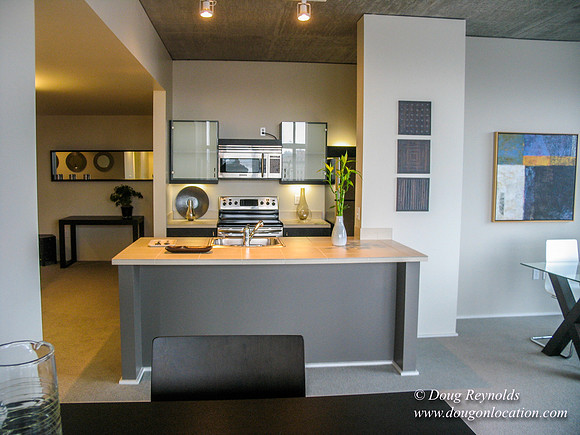 Apartment-1 Loft