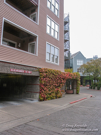 Carlson Condo