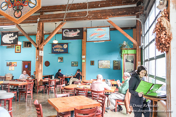 Hair of the Dog Bar