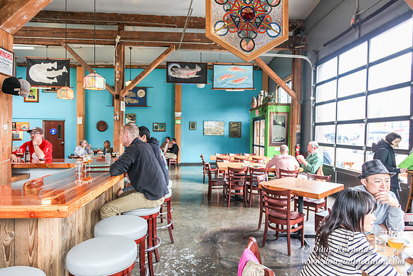 Hair of the Dog Bar