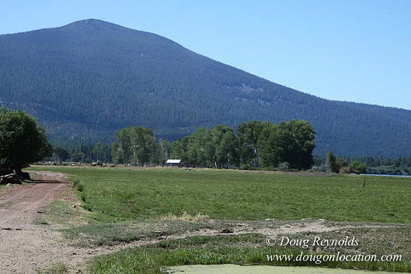 2500 Acres of green fields Creeks water crossing Bridges on a Large Lake and miles of Dirt roads Oak trees Forest land ATV Trails cows