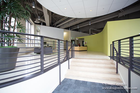 DOWA Offices