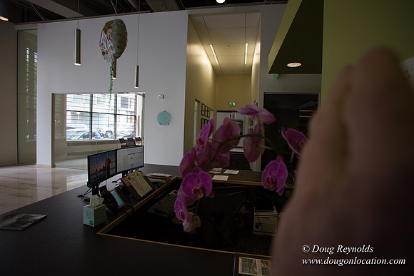 DOWA Offices