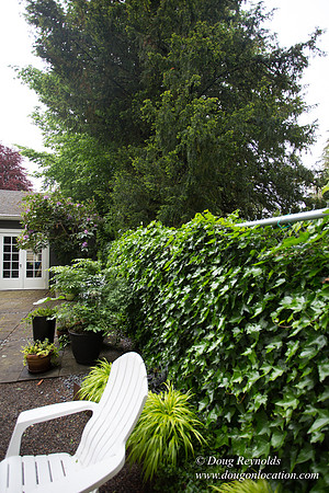 Joans House