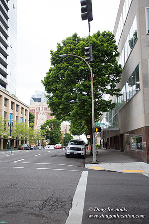 Raven & Rose Resaurant Street View