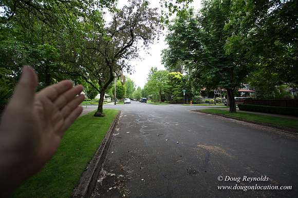 McGeady Home