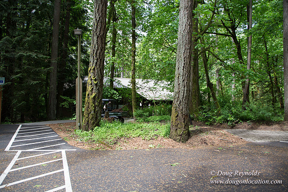 Tryon State Park
