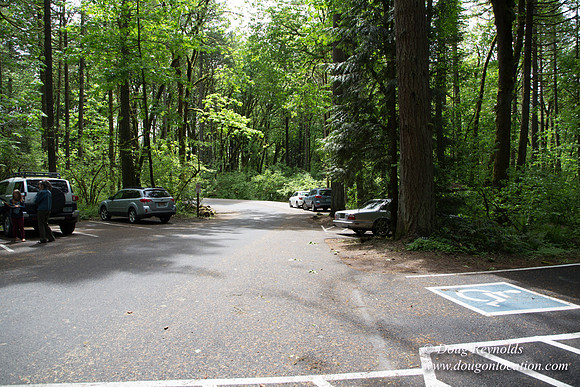 Tryon State Park