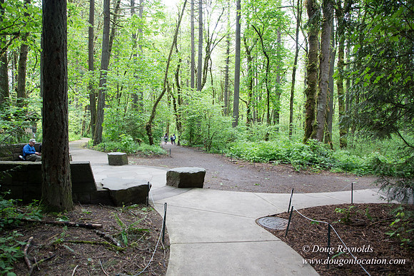 Tryon State Park