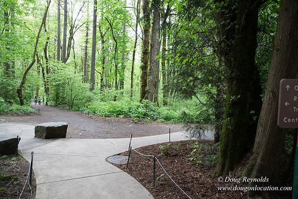 Tryon State Park