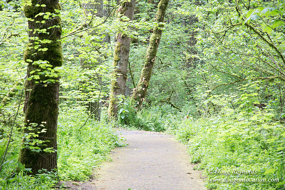 Tryon State Park