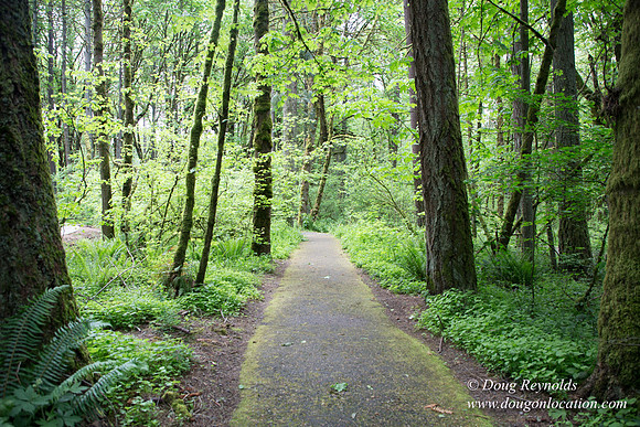Tryon State Park