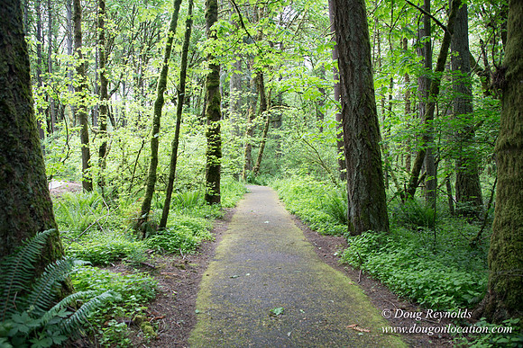 Tryon State Park