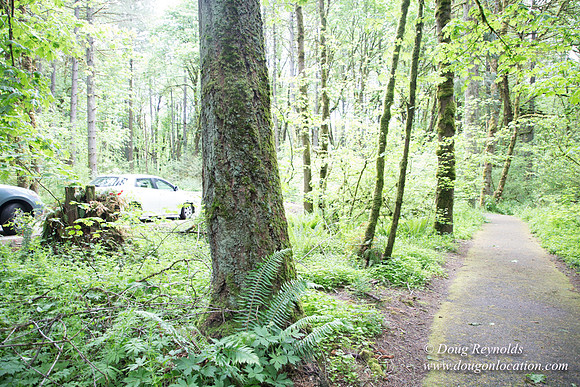 Tryon State Park
