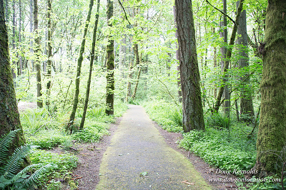 Tryon State Park