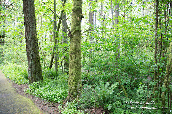 Tryon State Park