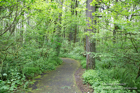 Tryon State Park