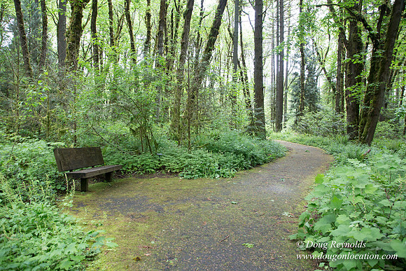 Tryon State Park