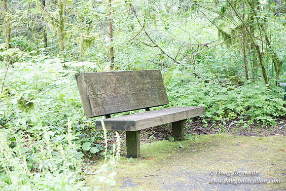 Tryon State Park