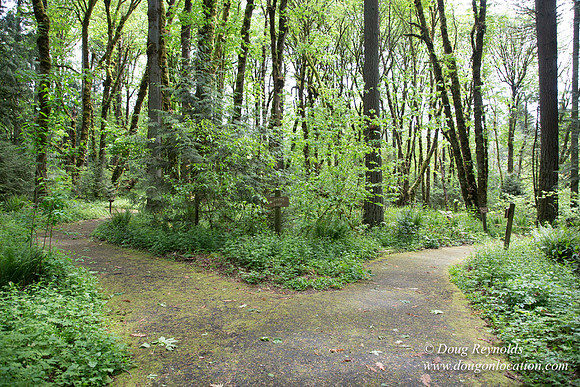 Tryon State Park