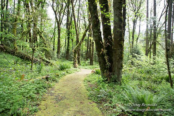 Tryon State Park