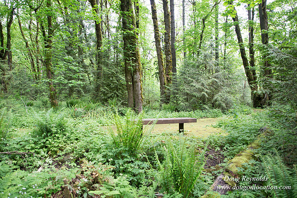 Tryon State Park