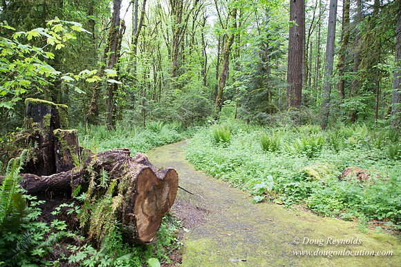 Tryon State Park