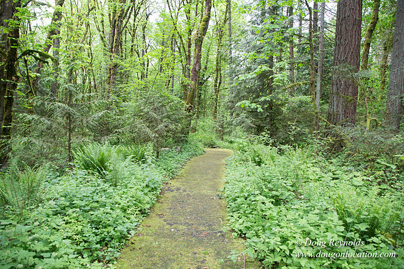 Tryon State Park