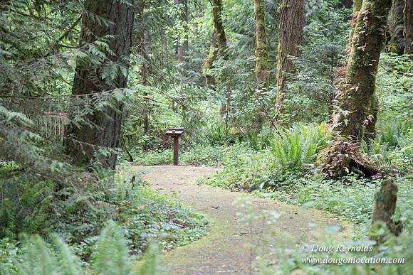 Tryon State Park