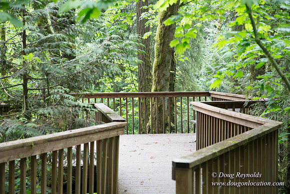 Tryon State Park